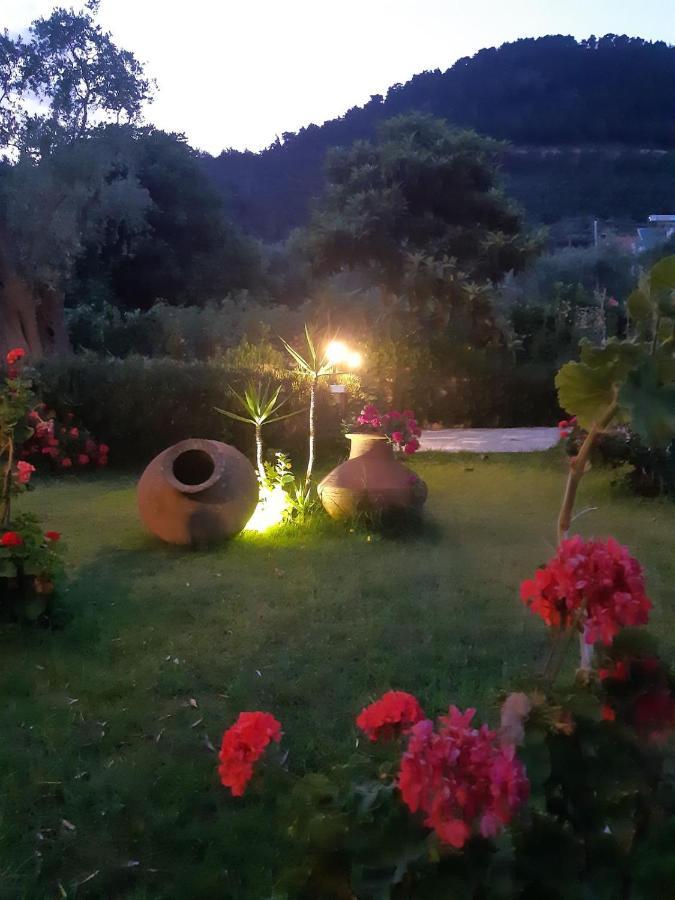 Nostos Studios Golden Beach Chrysi Ammoudia ภายนอก รูปภาพ