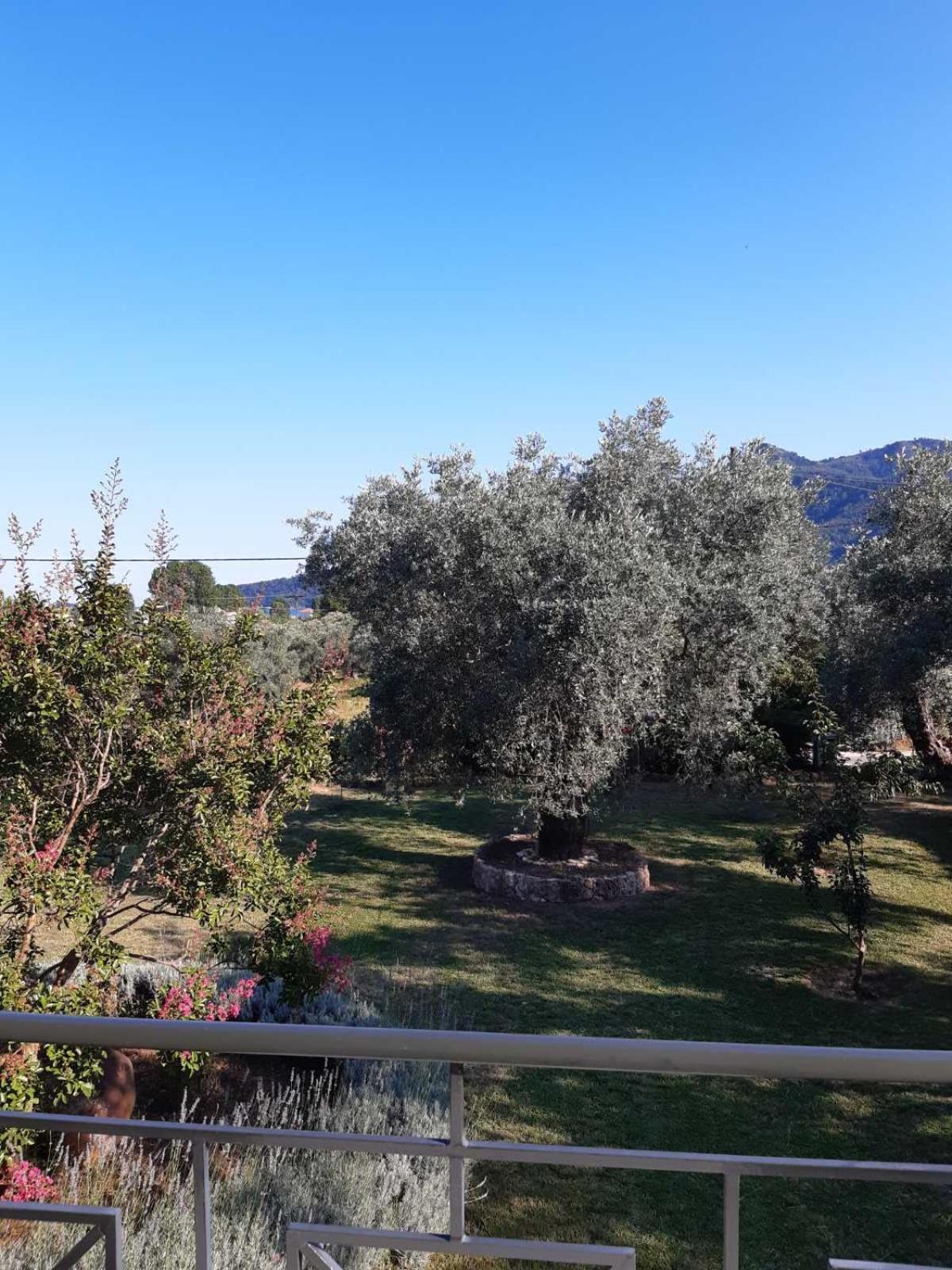 Nostos Studios Golden Beach Chrysi Ammoudia ห้อง รูปภาพ