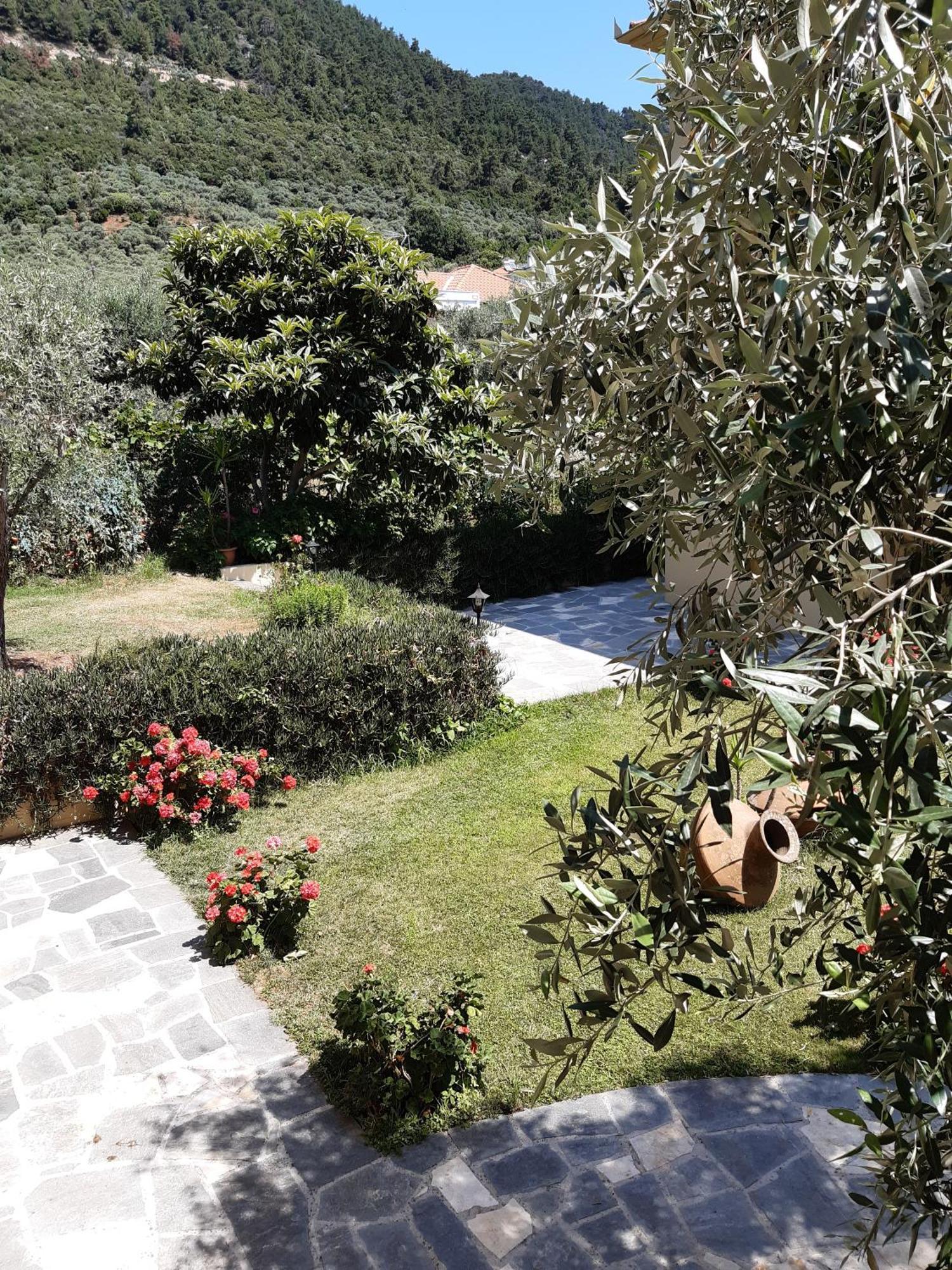 Nostos Studios Golden Beach Chrysi Ammoudia ห้อง รูปภาพ